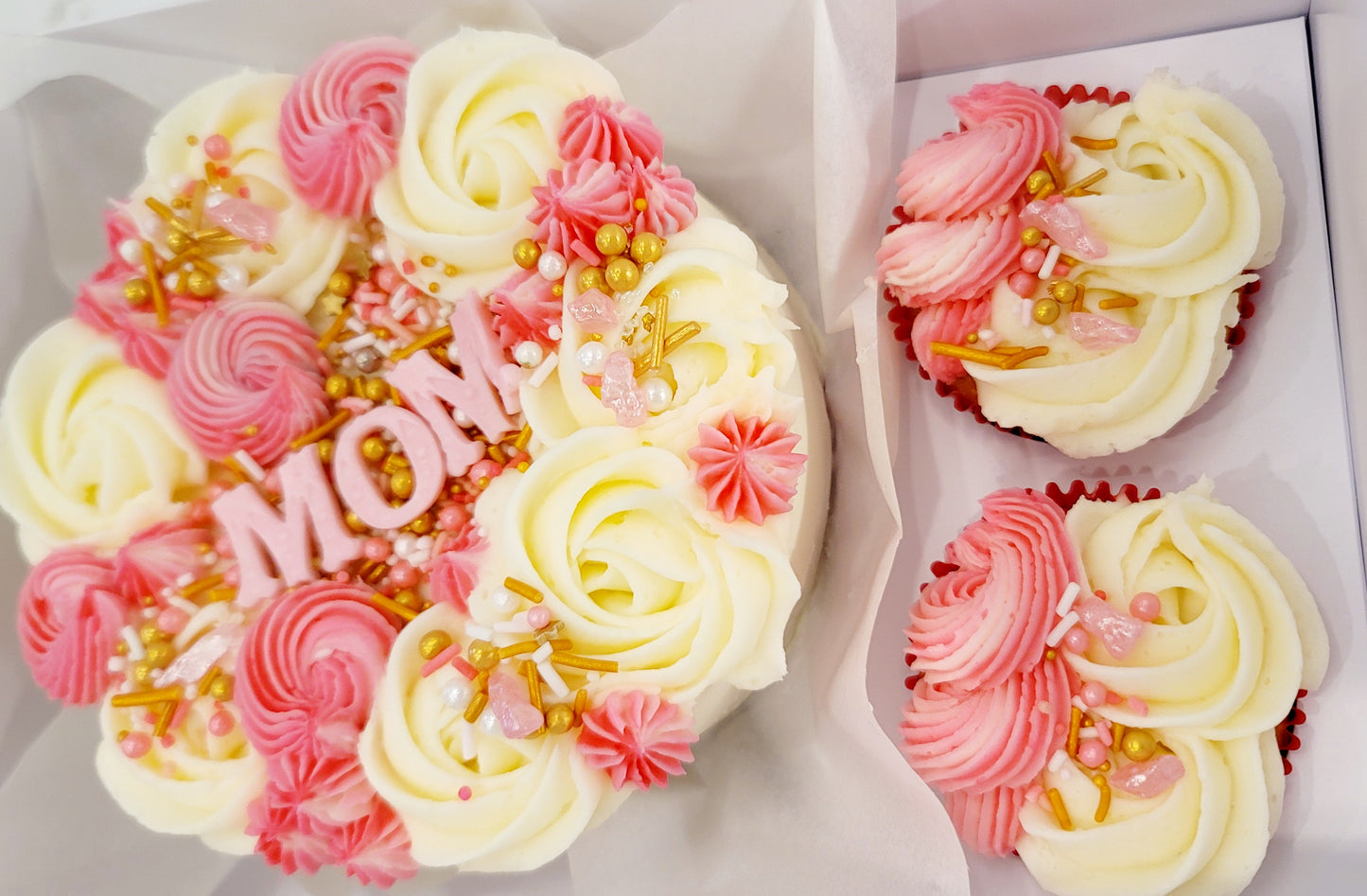 Bento 2 Cavity Cupcake/Cake Box