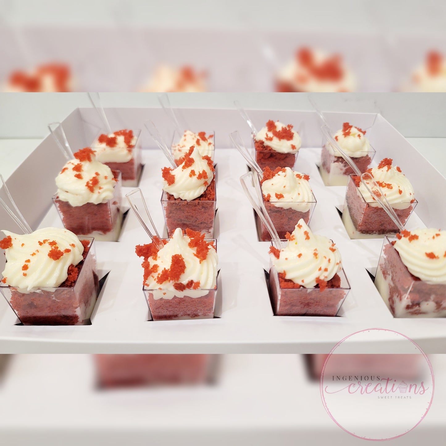 Dessert Box w/ Base, Insert & Clear Lid (CUPS NOT INCLUDED)