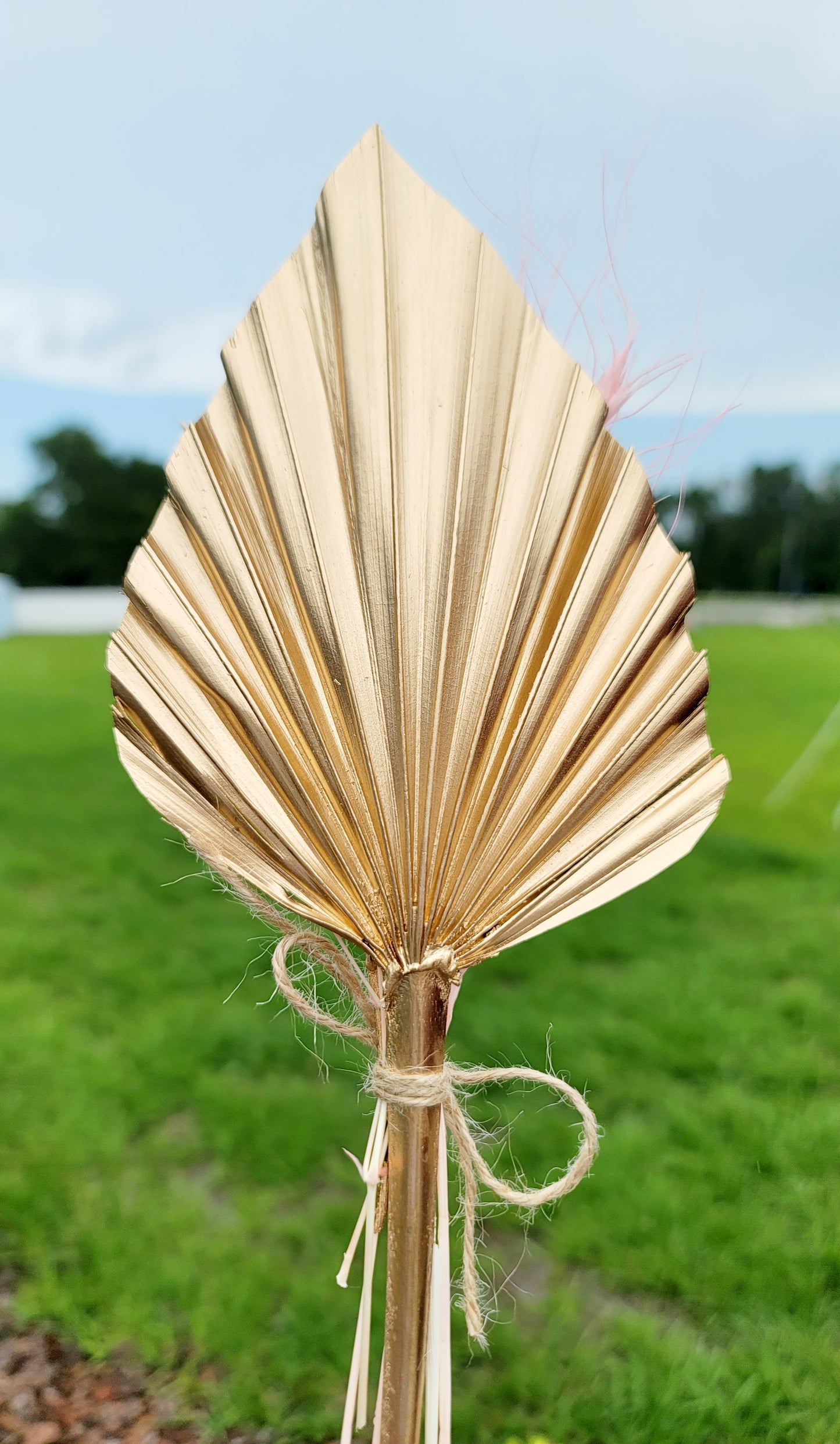 Dried Palm Leaf Bouquets